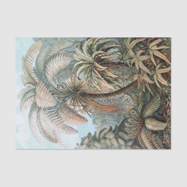 Vintage Ernst Haeckel Palm Trees Poster Tissue Paper (Front)