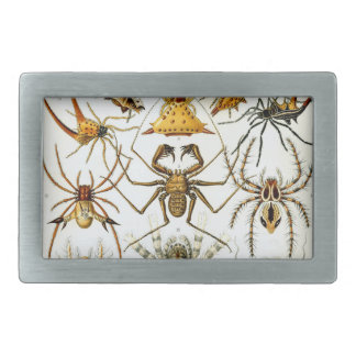 Vintage Ernst Haeckel Rectangular Belt Buckle