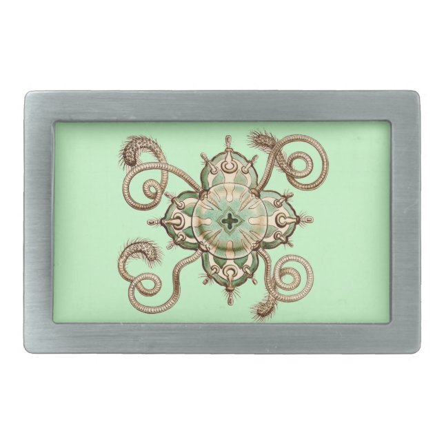 Vintage Ernst Haeckel Rectangular Belt Buckle (Front)