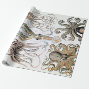 Vintage Ernst Haeckel Squids and Octopus Poster Wrapping Paper