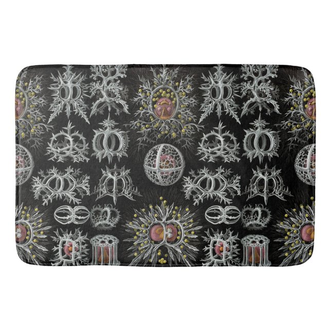 Vintage Ernst Haeckel Stephoidea Bath Mat (Front)