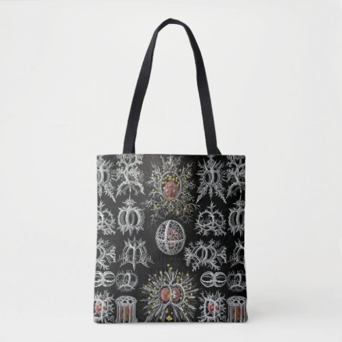 Vintage Ernst Haeckel Stephoidea Tote Bag