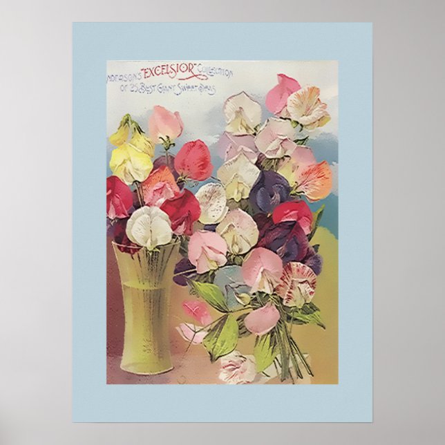 Vintage Excelsior Collection of Assorted Sweetpeas Poster (Front)