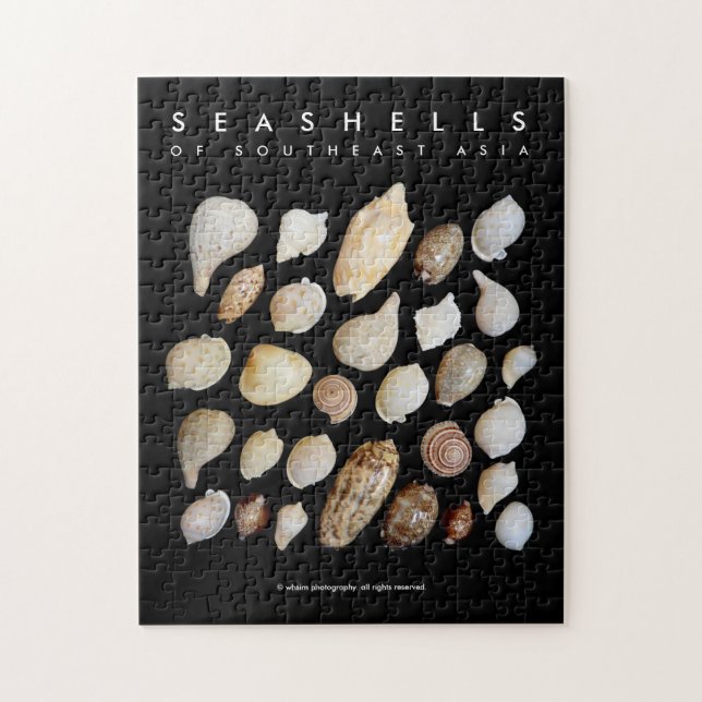 Vintage Exotic Seashells of Southeast Asia Jigsaw Puzzle (Vertical)