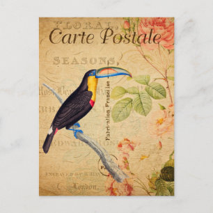 Vintage Exotic Tropical Toucan Bird Floral French  Postcard