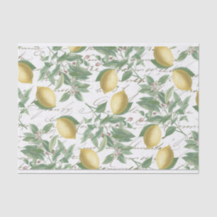 Vintage Faded Lemon Branch French Script Fruit Tissue Paper