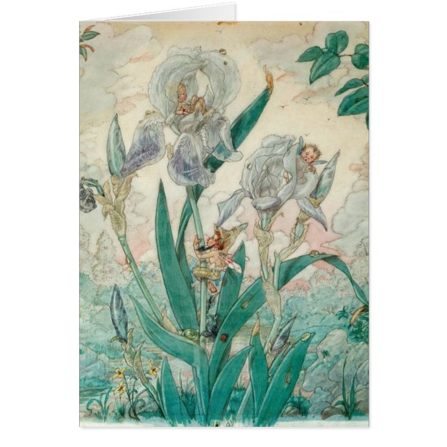Vintage - Fairies Playing In Iris Flowers, (Front)