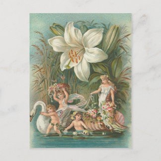 Vintage Fairies Postcard