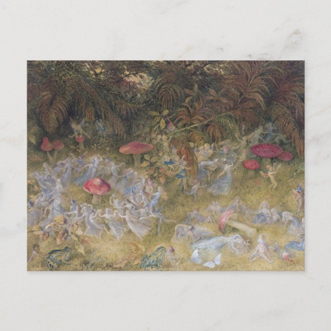 Vintage Fairy Rings and Toadstools Postcard (Front)