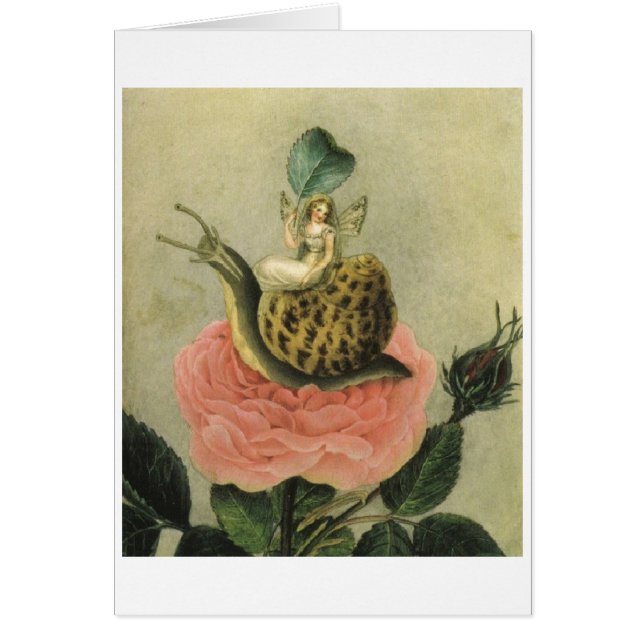 Vintage - Fairy, Snail and Rose, (Front)