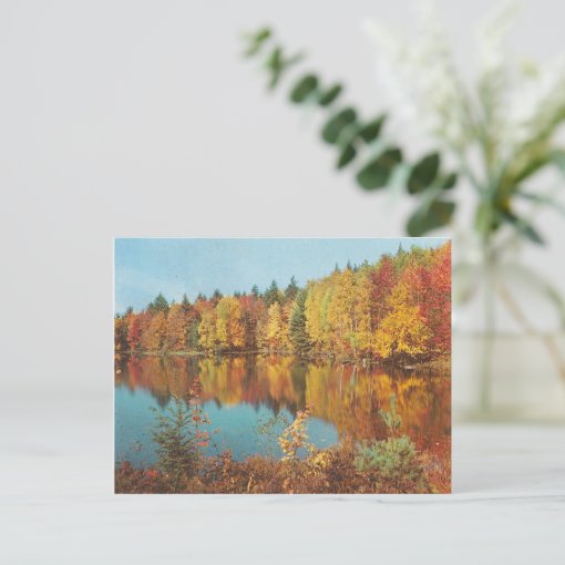 Vintage Fall Scene Postcard | Zazzle