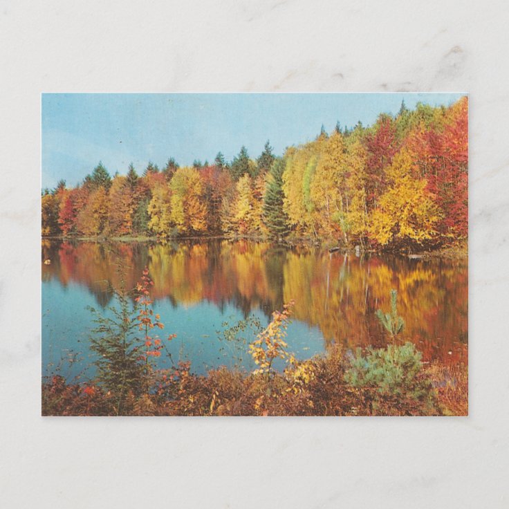 Vintage Fall Scene Postcard | Zazzle