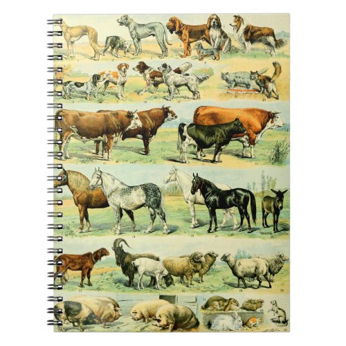 Vintage Farm Animal Print Notebook