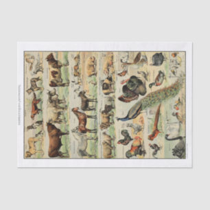 Vintage Farm Animals Decoupage Tissue Paper