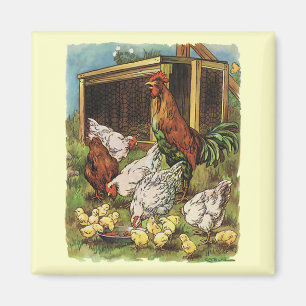 Vintage Farm Animals, Rooster, Hens, Chickens Magnet