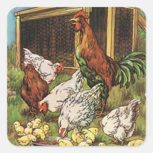 Vintage Farm Animals, Rooster, Hens, Chickens Square Sticker