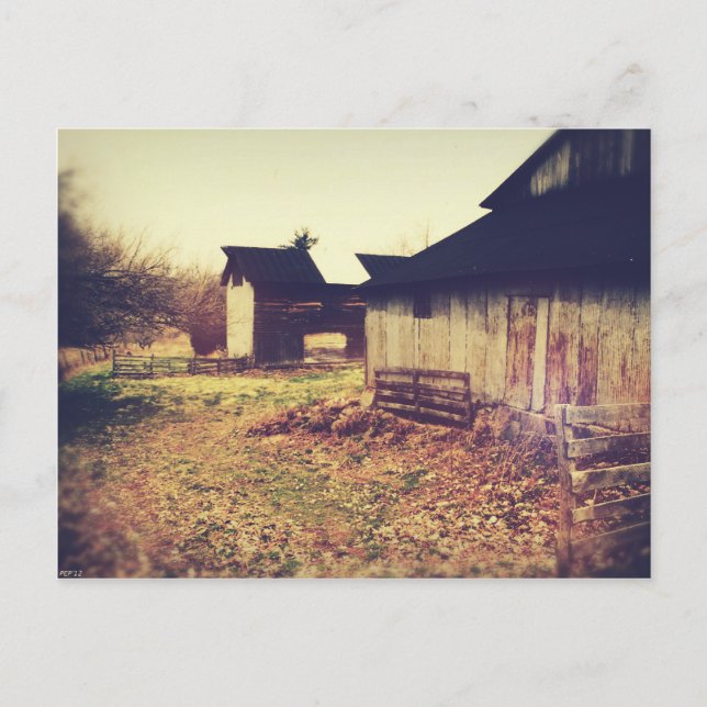 Vintage Farm Barns Postcard (Front)