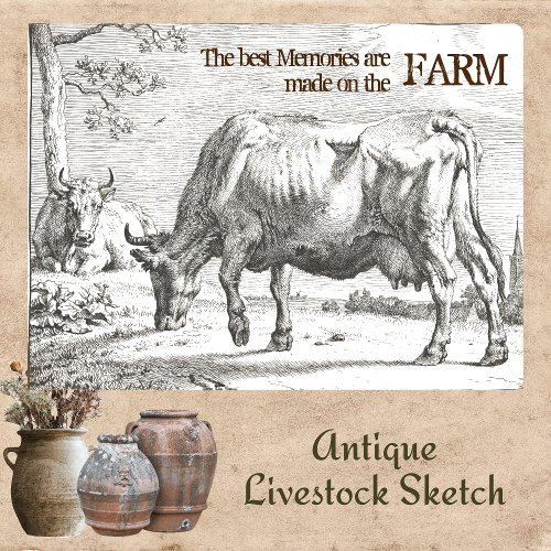 VINTAGE FARM MEMORIES GRAZING COW ART TISSUE PAPER