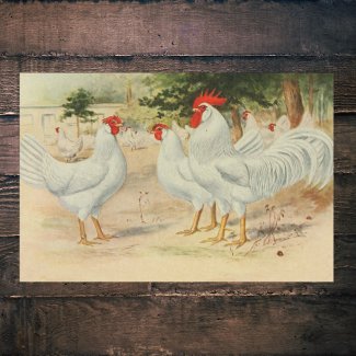 Vintage Farm Roosters Single Comb White Leghorns
