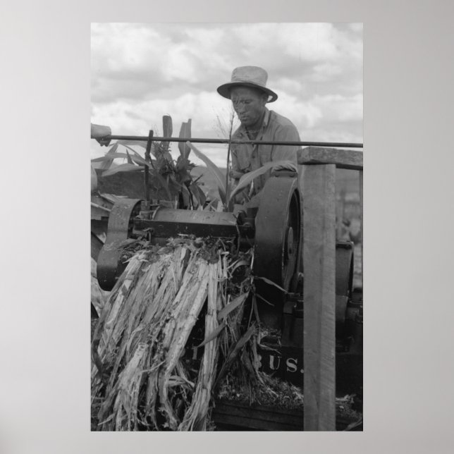 Vintage Farm Security Administration Print (Front)