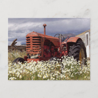 Vintage Farm Tractor in Field Photo Postcard