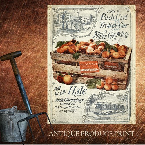 VINTAGE FARMHOUSE PUSH CART PEACHES TISSUE PAPER