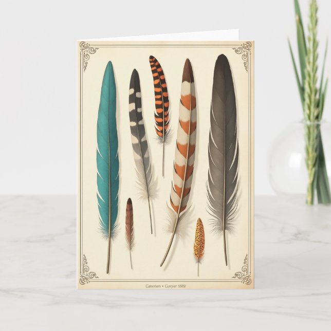 Vintage Fathers Day Feather Card (Front)