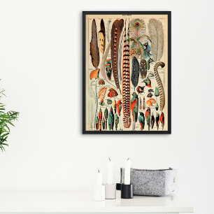 Vintage Feather Type of Plums 1910 French Poster