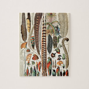 Vintage Feathers Birds Old Illustration Art Jigsaw Puzzle