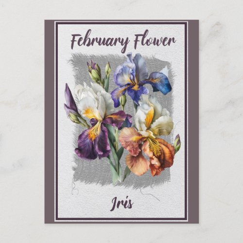 Vintage February Flower Iris Floral Postcard