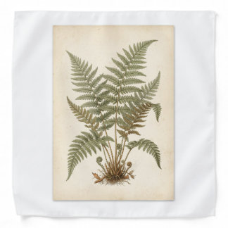 Vintage Fern Botanical Wall Art | Antique Botanica Bandana