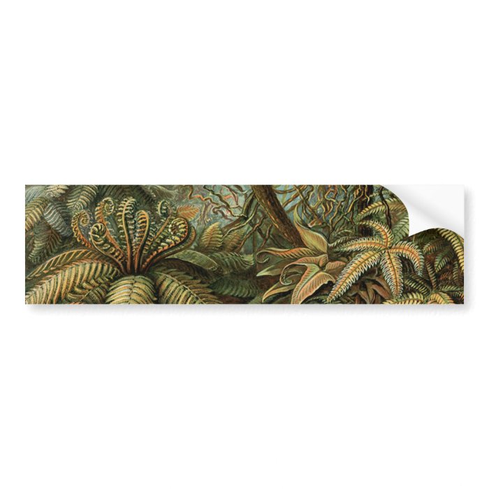Vintage Ferns and Palm Tree Botanical Bumper Sticker