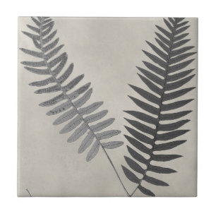 Vintage Ferns Ceramic Tile
