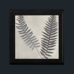 Vintage Ferns Gift Box<br><div class="desc">Vintage Fern Study III by Vision Studio. Features two vintage-looking ferns against an antique background.</div>