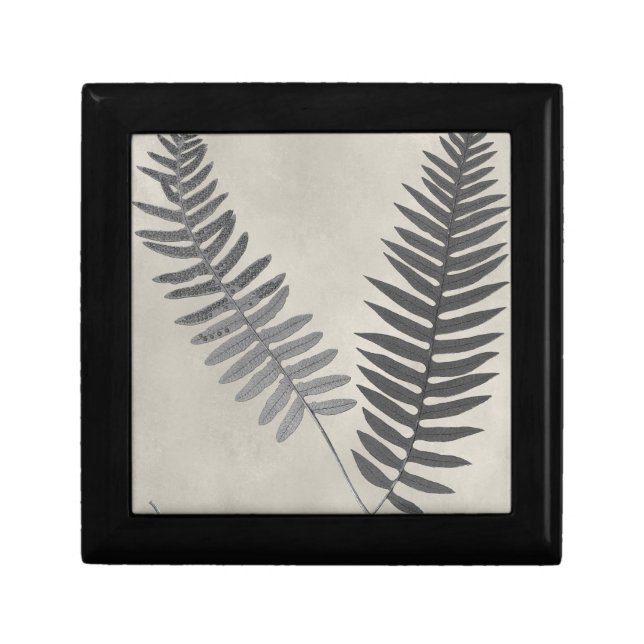 Vintage Ferns Gift Box (Front)