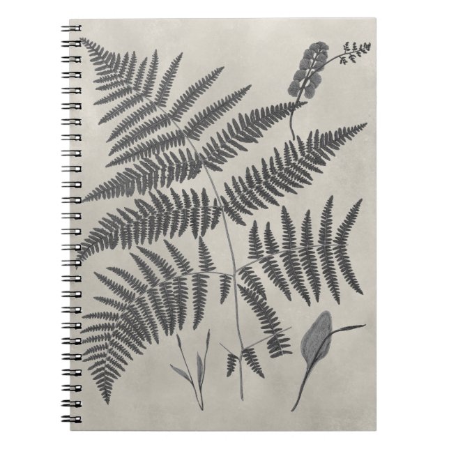Vintage Ferns Notebook (Front)