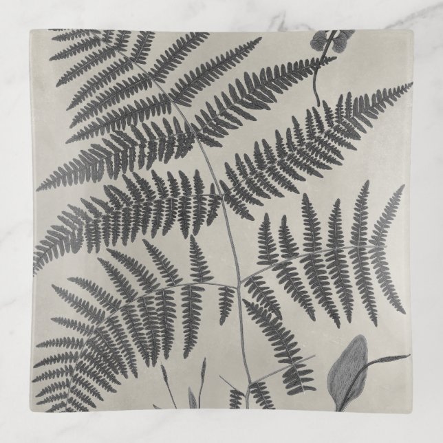 Vintage Ferns Trinket Tray (Front)