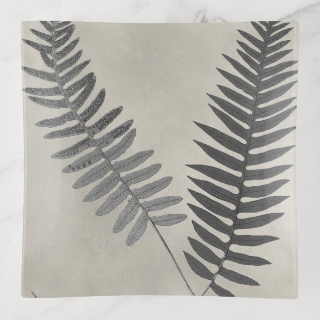 Vintage Ferns Trinket Tray (Front)