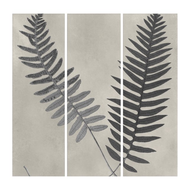 Vintage Ferns Triptych (Front)