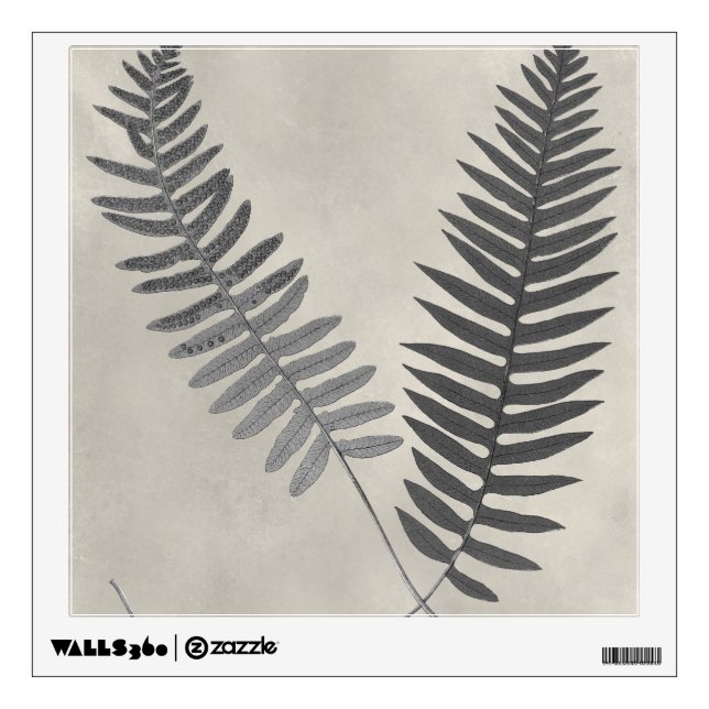Vintage Ferns Wall Decal (Front)