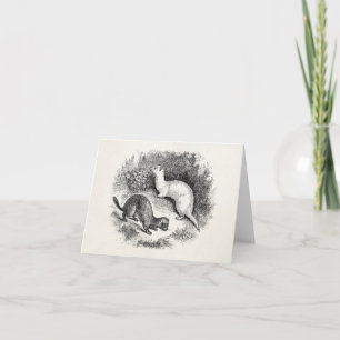 Vintage Ferret 1800s Ferrets Weasels Minks Card