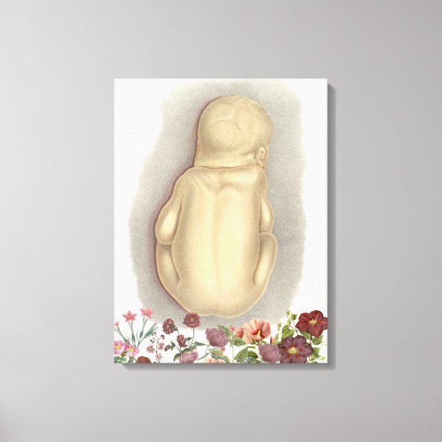 Vintage fetal anatomy canvas art (Front)