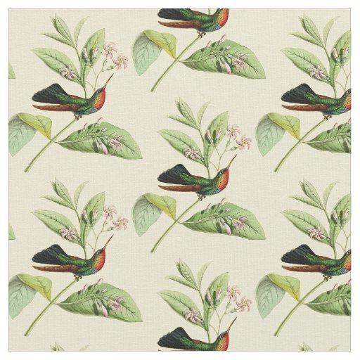 Vintage Fiery Throated Hummingbird Fabric