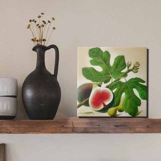 Vintage fig illustration ceramic tile (Creator Uploaded)