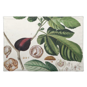 Vintage Figs Botanical Print Cloth Placemat