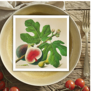Vintage figs napkins