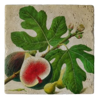 Vintage    figs 