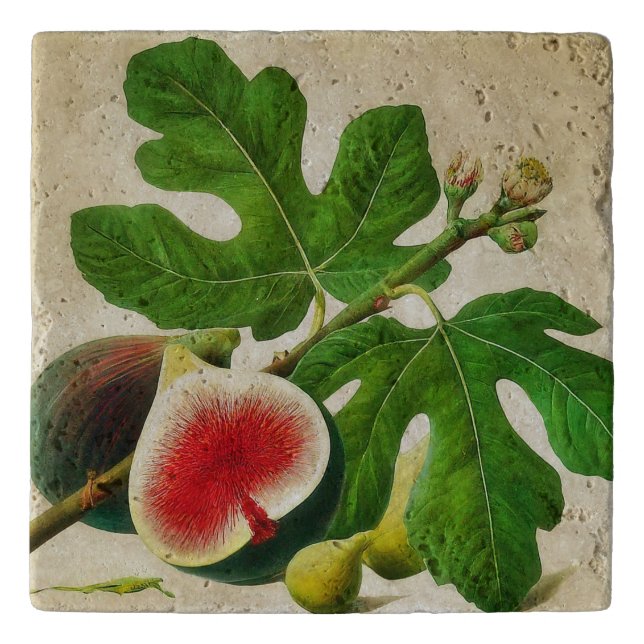 Vintage    figs  trivet (Front)