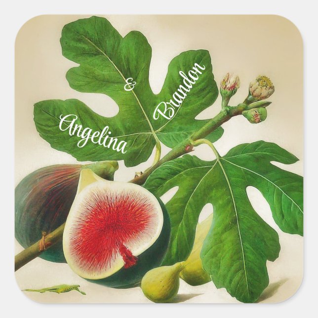 Vintage  figs wedding Personalized Square Sticker (Front)