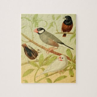 vintage finch and sparrow